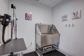 a medical room with a sink and a machine